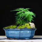 House and Garden Pots, Outdoor & Indoor Ceramic Bonsai Pots,  Planters,  Glazed Bonsai Pots GH6001 Set 2