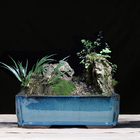 House and Garden Pots, Outdoor & Indoor Ceramic Bonsai Pots,  Planters,  Glazed Bonsai Pots GH6003 Set3